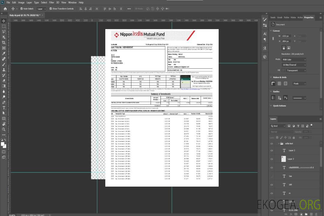 Modèle de relevé bancaire INDIA NIPPON, format Word et PDF template Modèle de relevé bancaire INDIA NIPPON, format Word et PDF template